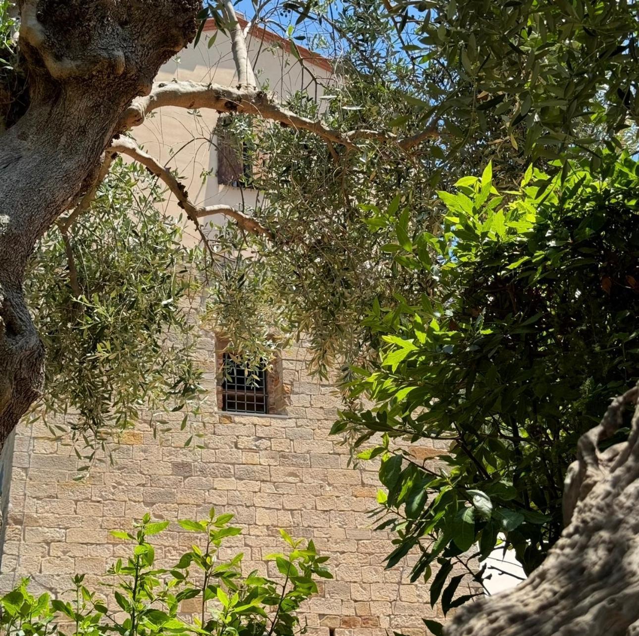Aparthotel Madonna Del Poggio Cav Scarlino Exterior foto